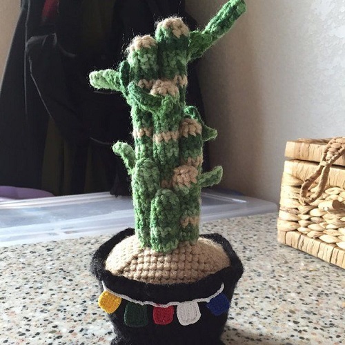 easy to make Crochet Lucky Bamboo Plant 4