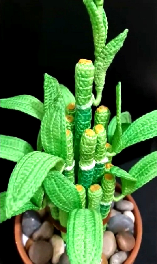 Crochet Lucky Bamboo Plant free pattern 2