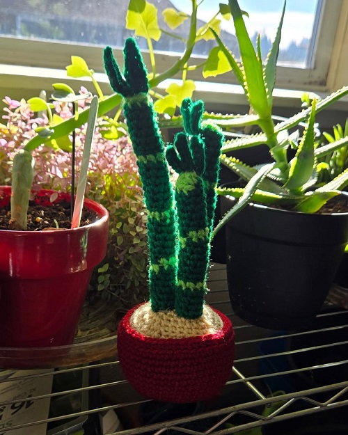 DIY Crochet Lucky Bamboo Plant