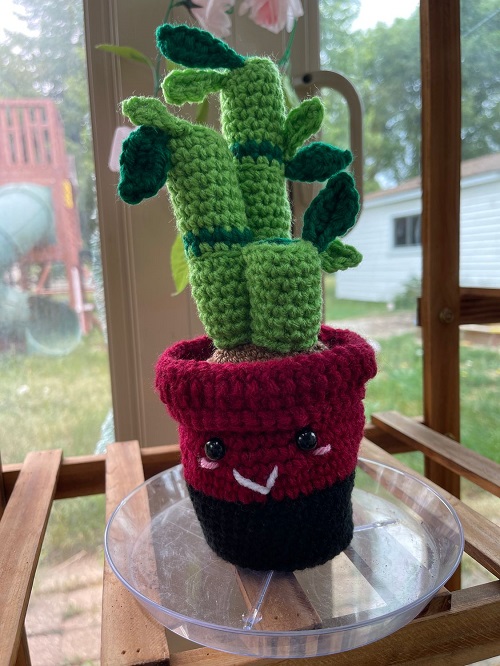 DIY Crochet Lucky Bamboo Plant 2
