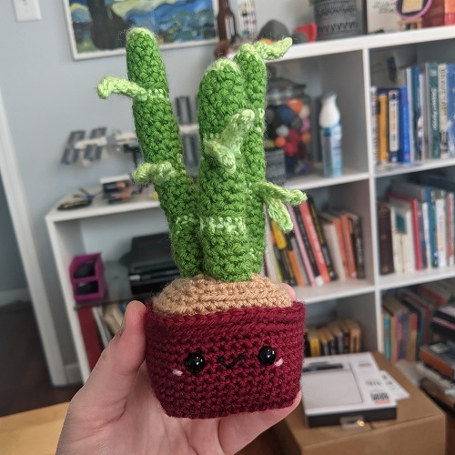 DIY Crochet Lucky Bamboo Plant 4