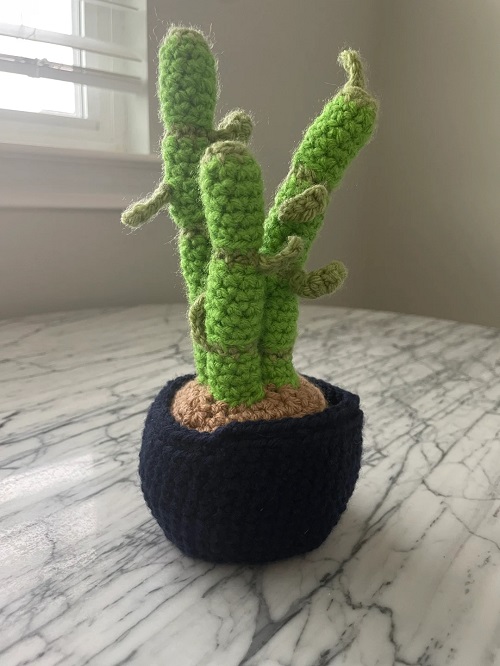 easy to make Crochet Lucky Bamboo Plant