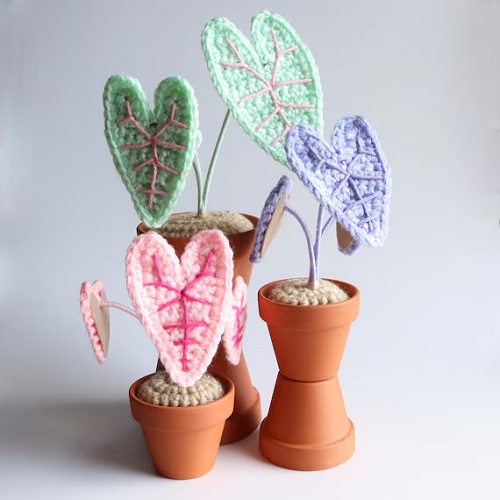 easy to make Crochet Alocasia Plants 3