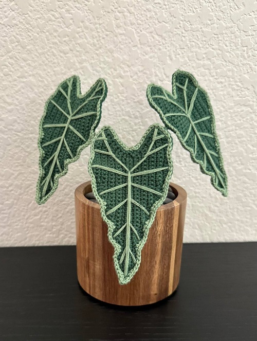 Crochet Alocasia Plants free pattern 2