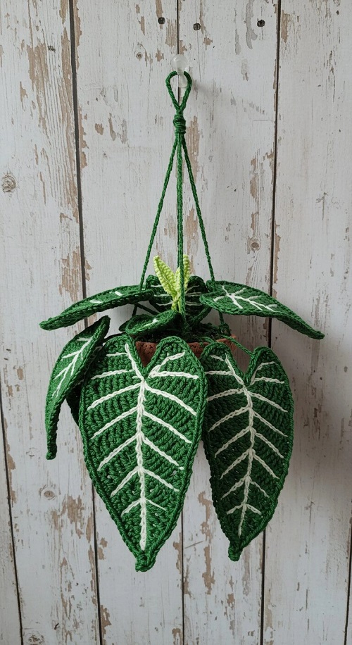 Crochet Alocasia Plants free pattern 3