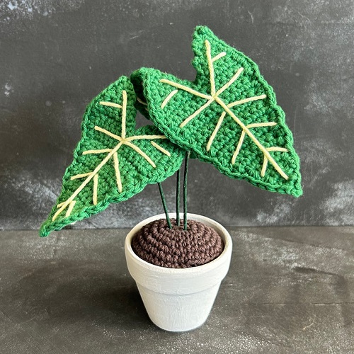 DIY Crochet Alocasia Plants
