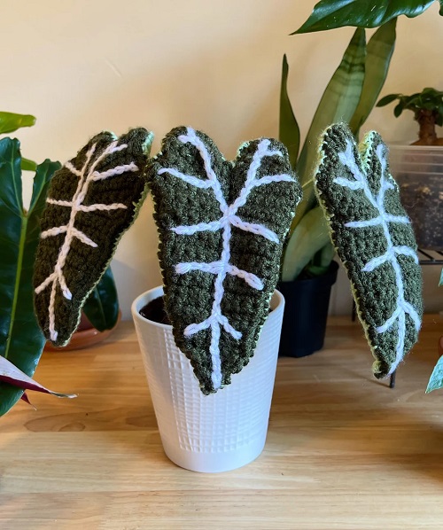 DIY Crochet Alocasia Plants 2