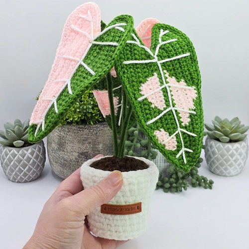 DIY Crochet Alocasia Plants 4