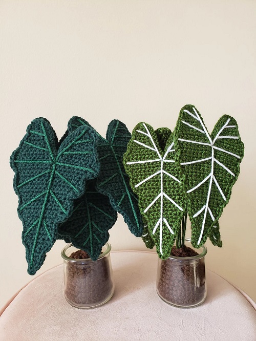 easy to make Crochet Alocasia Plants