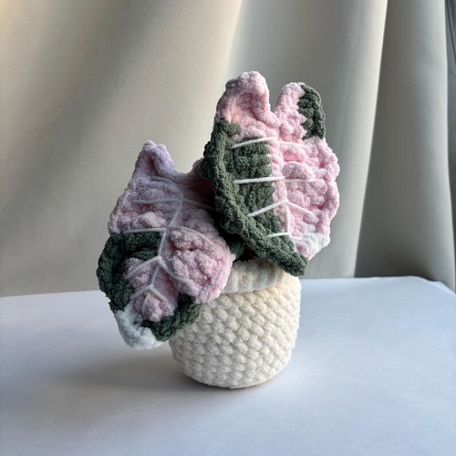 easy to make Crochet Alocasia Plants 2