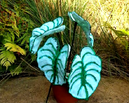 Crochet Alocasia Plants free pattern