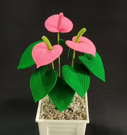 Crochet Anthurium Plant free pattern 2