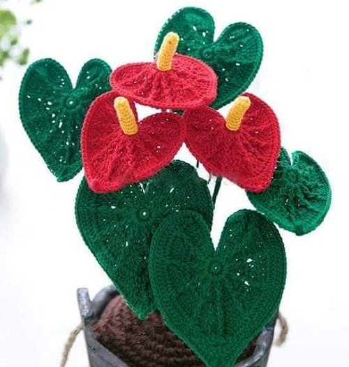 Crochet Anthurium Plant free pattern 4