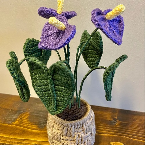 DIY Crochet Anthurium Plant 4