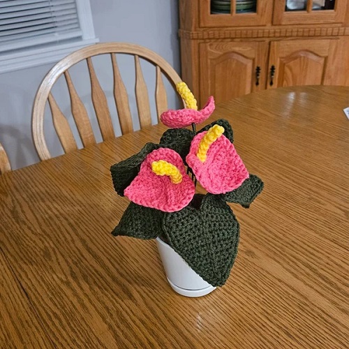 easy to make Crochet Anthurium Plant