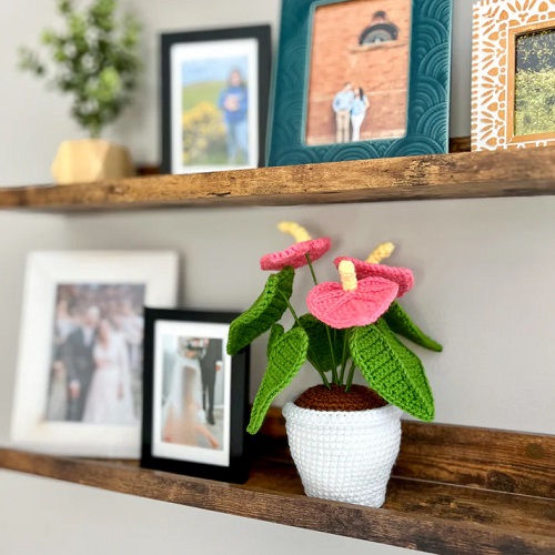 DIY Crochet Anthurium Plant