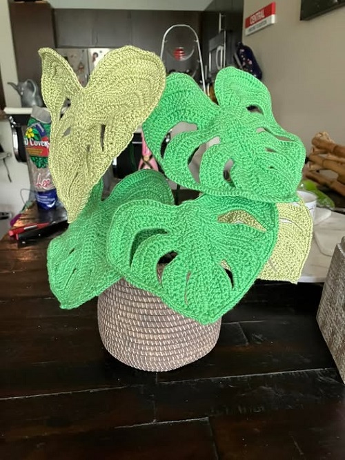 DIY Crochet Monstera Plant 3