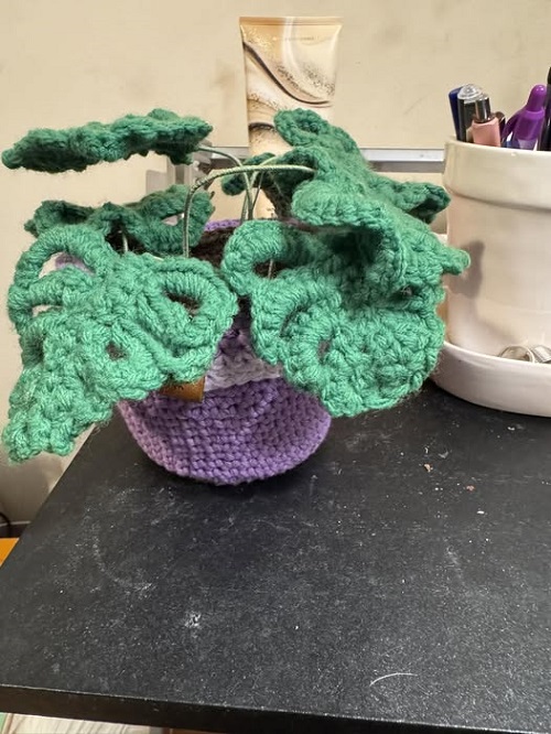 easy to make Crochet Monstera Plant