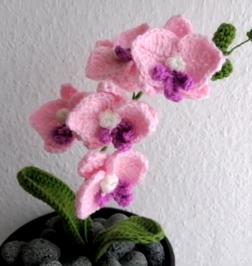 Crochet Orchid Plant free pattern