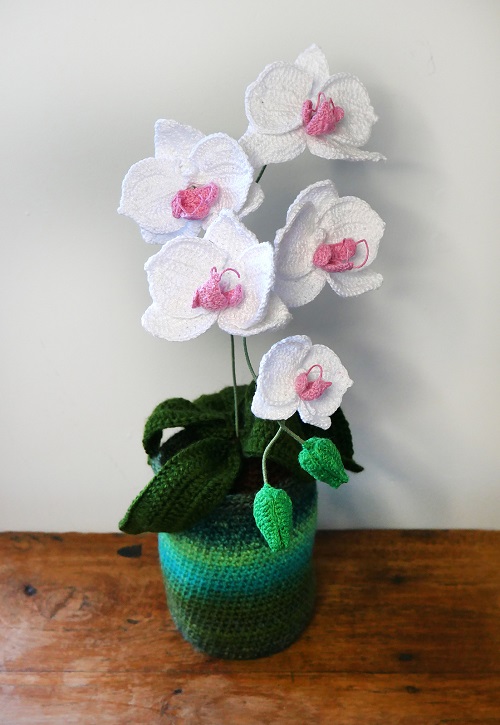 unique Crochet Orchid Plant