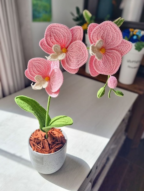 unique Crochet Orchid Plant 3