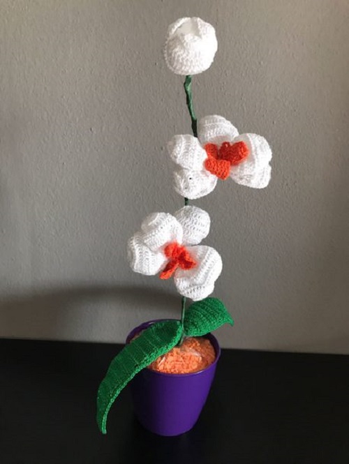 DIY Crochet Orchid Plant