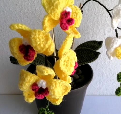 DIY Crochet Orchid Plant 4