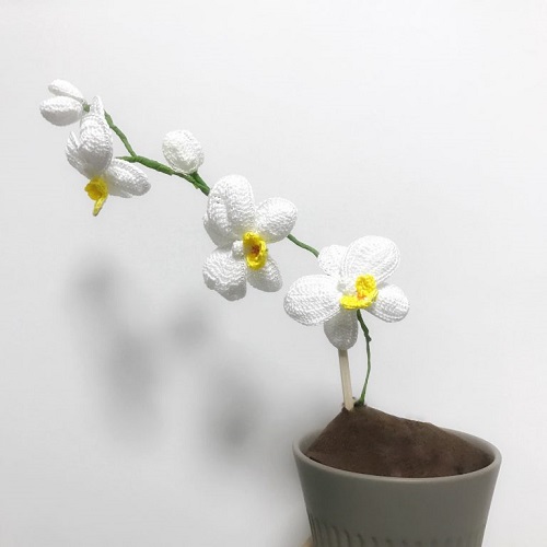 DIY Crochet Orchid Plant 3