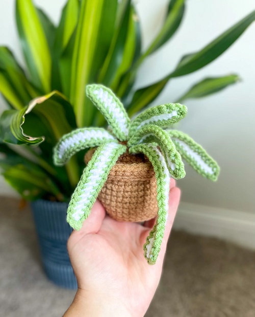 easy to make Crochet Spider Plant 3