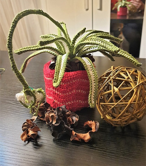 easy to make Crochet Spider Plant 4