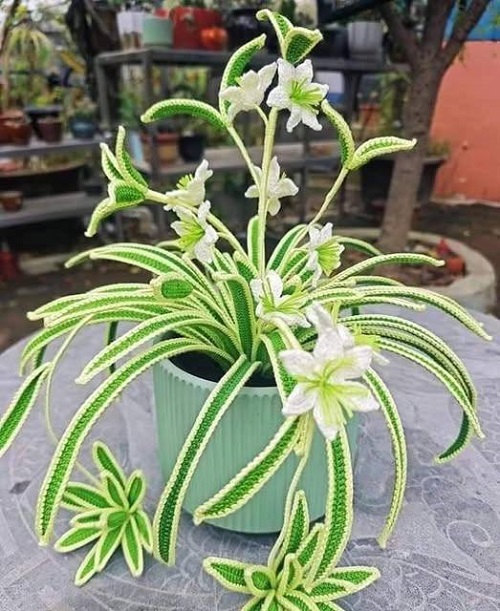 easy to make Crochet Spider Plant 5