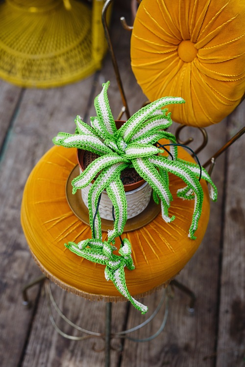 DIY Crochet Spider Plant 2