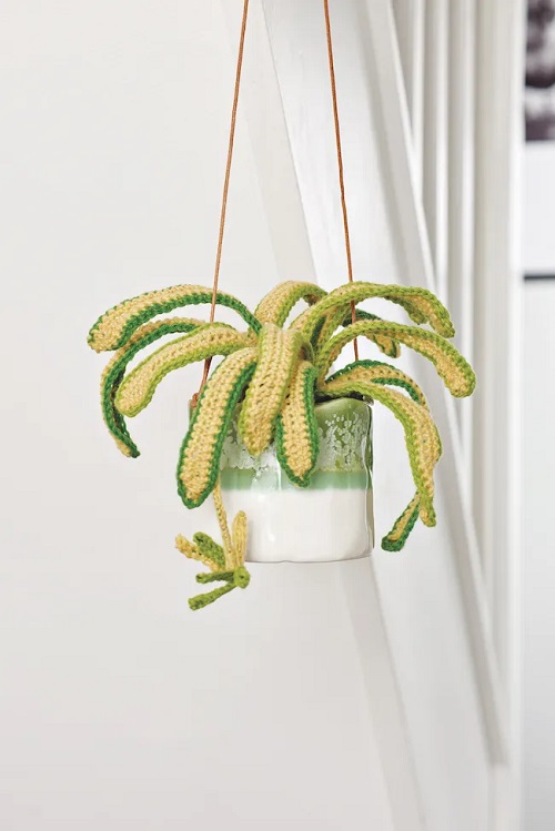 DIY Crochet Spider Plant 3