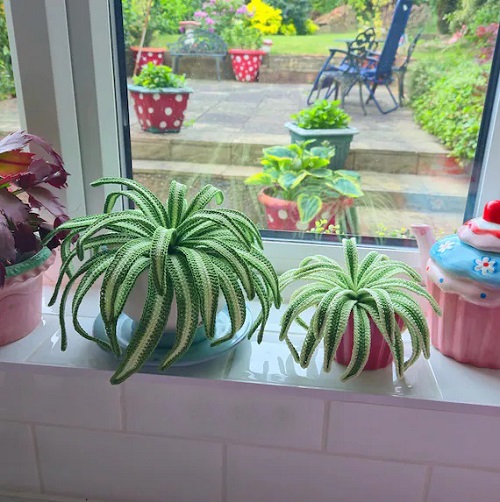 easy to make Crochet Spider Plant