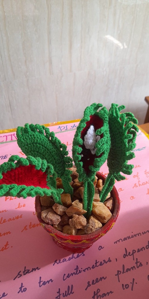 easy to make Crochet Venus Fly Trap