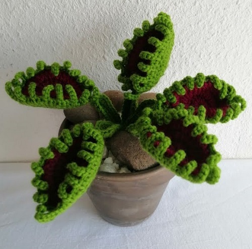 Crochet Venus Fly Trap free pattern