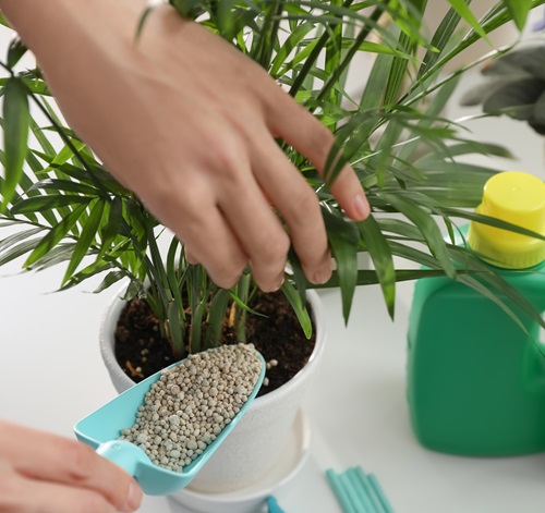 indoor plants fertilizer
