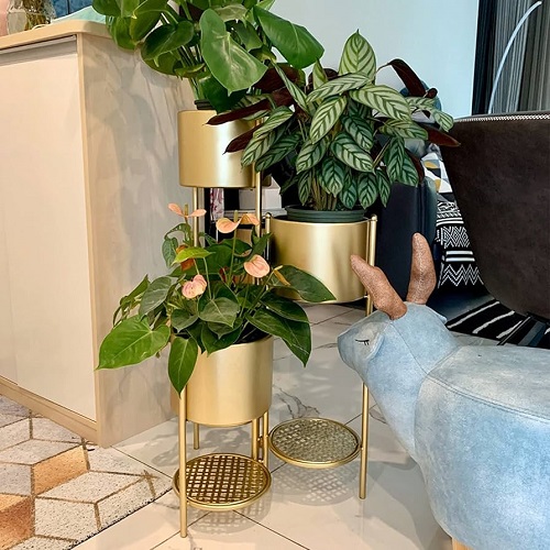metal stand indoor plant