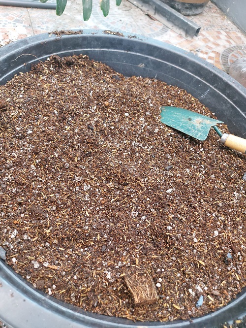 soil mix