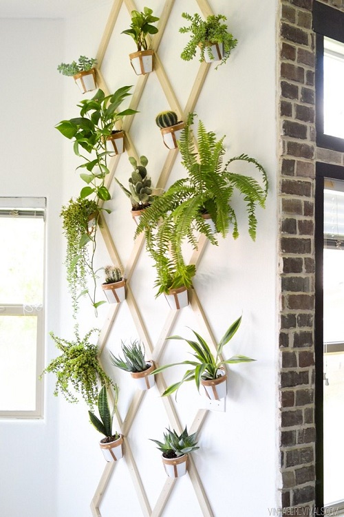 DIY Plant Wall Ideas for Small Rooms 3