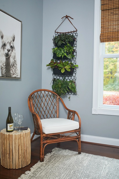 DIY Plant Wall Ideas for Small Rooms 4