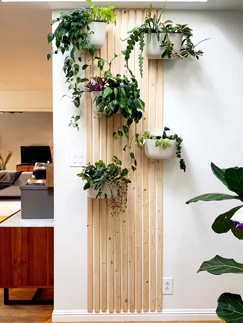 indoor plant wall