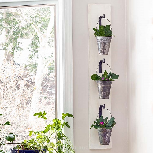 indoor plant wall 2