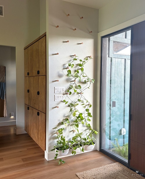 indoor plant wall 3