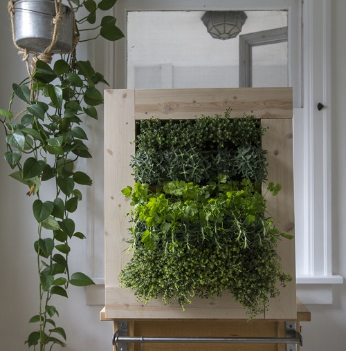 indoor plant wall 4