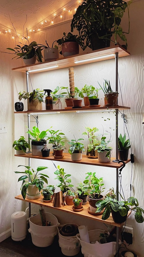 Add some LED strips under the shelves that change color