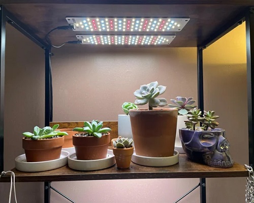 Panel Lights