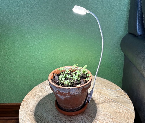 Pot Clip Lights