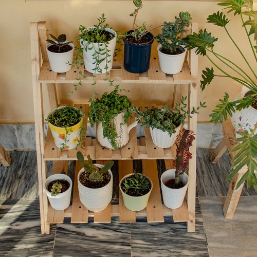 Succulent Shelves Ideas 1