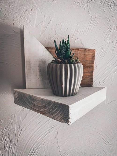 indoor unique plant shelves 3